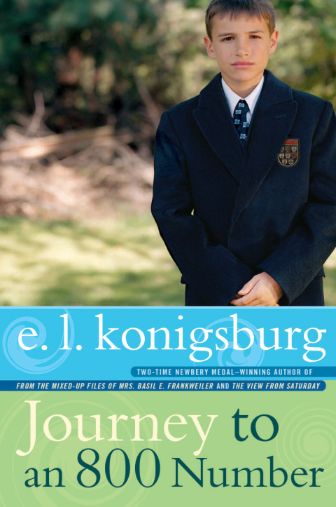 Cover image for book Journey to an 800 Number