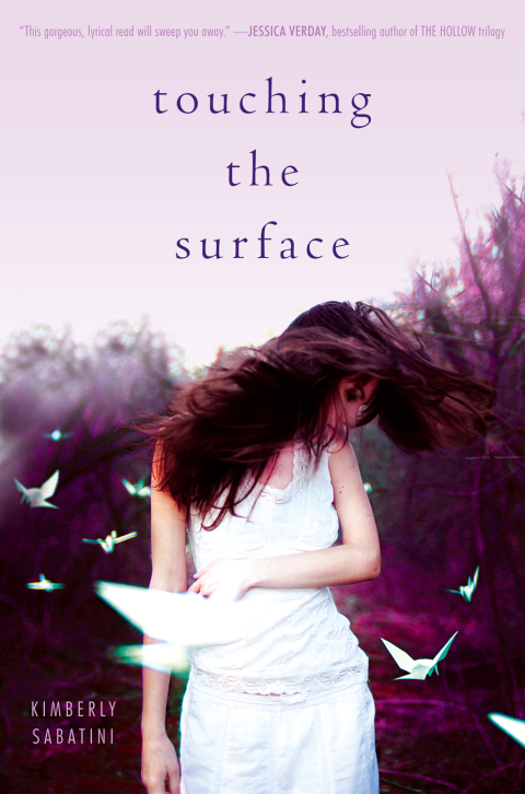 Cover image for book Touching the Surface