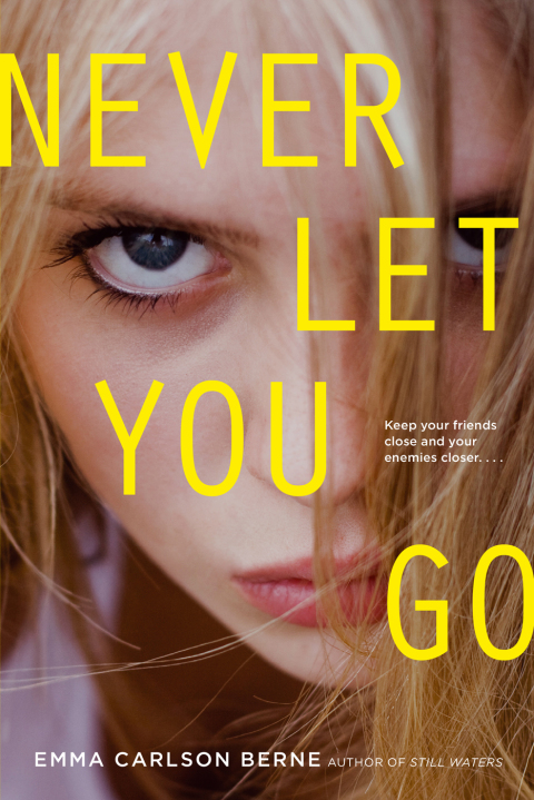 Cover image for book Never Let You Go