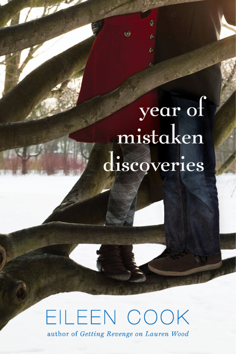 Cover image for book Year of Mistaken Discoveries