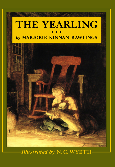 Cover image for book The Yearling