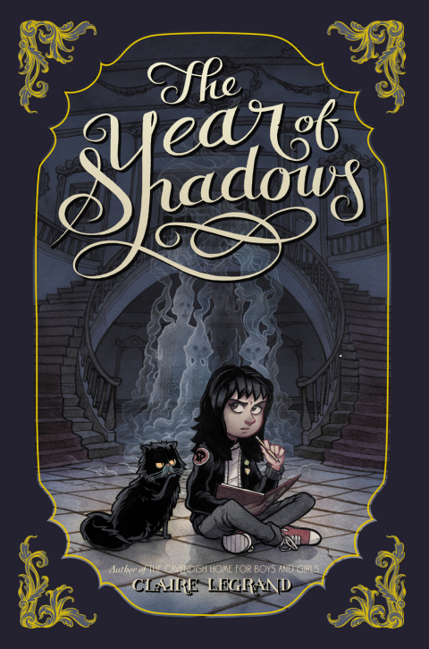 Cover image for book The Year of Shadows