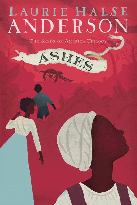 Cover image for book Ashes