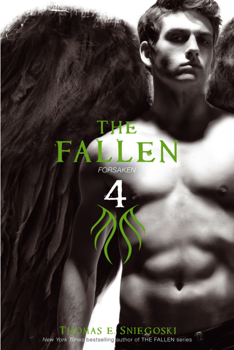 Cover image for book The Fallen 4