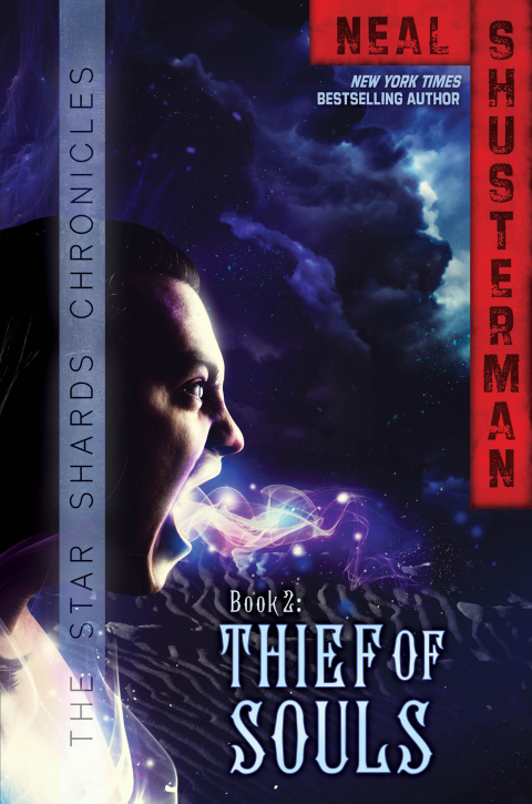 Cover image for book Thief of Souls