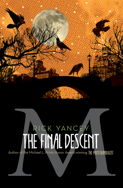 Cover image for book The Final Descent