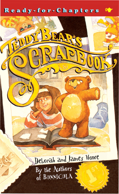 Cover image for book Teddy Bear's Scrapbook