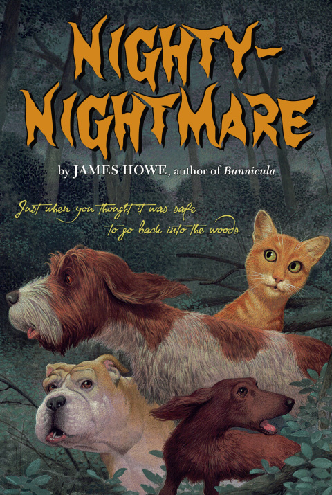 Cover image for book Nighty-Nightmare