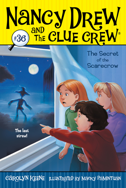 Cover image for book The Secret of the Scarecrow