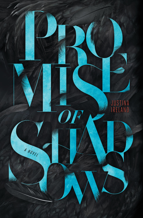 Cover image for book Promise of Shadows