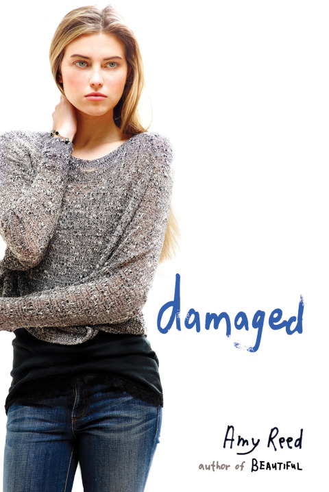 Cover image for book Damaged