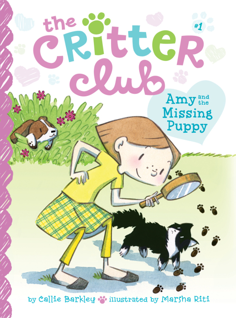 Cover image for book Amy and the Missing Puppy