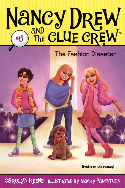 Cover image for book The Fashion Disaster