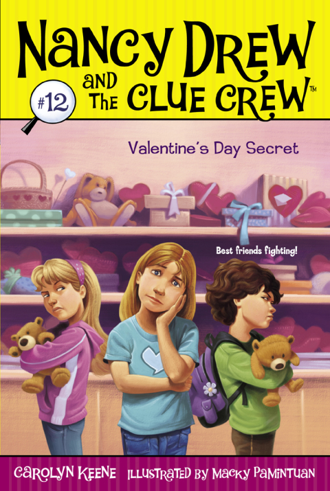 Cover image for book Valentine's Day Secret