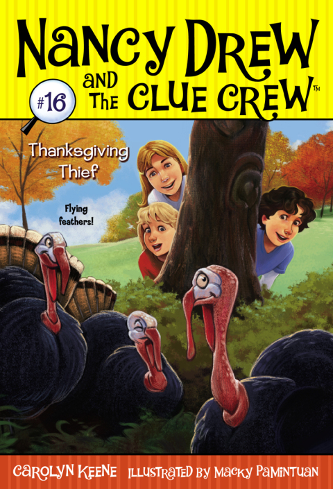 Cover image for book Thanksgiving Thief