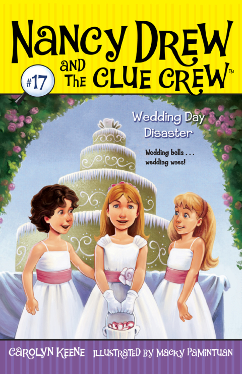 Cover image for book Wedding Day Disaster