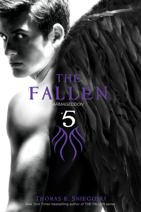 Cover image for book The Fallen 5