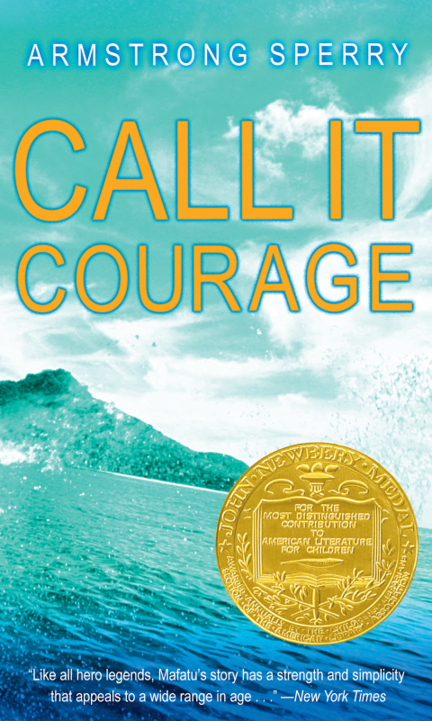 Cover image for book Call It Courage