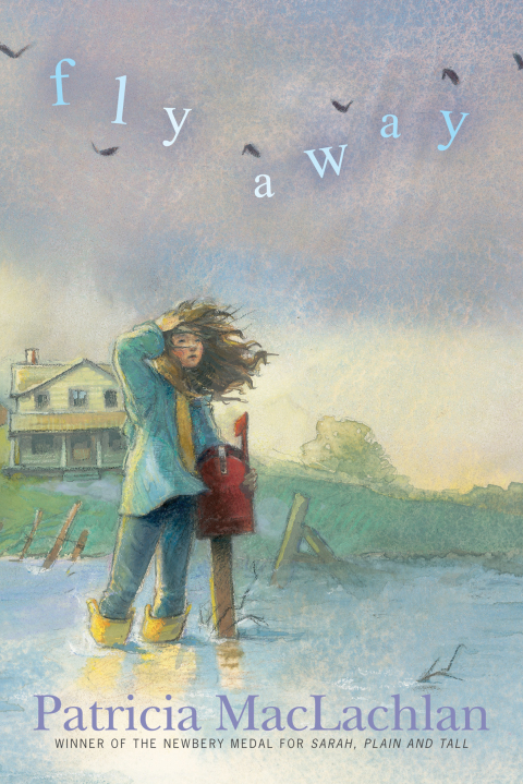 Cover image for book Fly Away