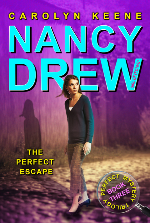 Cover image for book The Perfect Escape