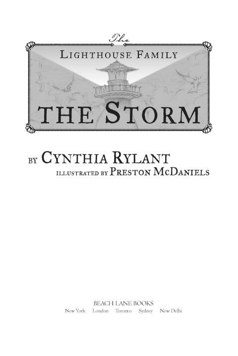 Cover image for book The Storm