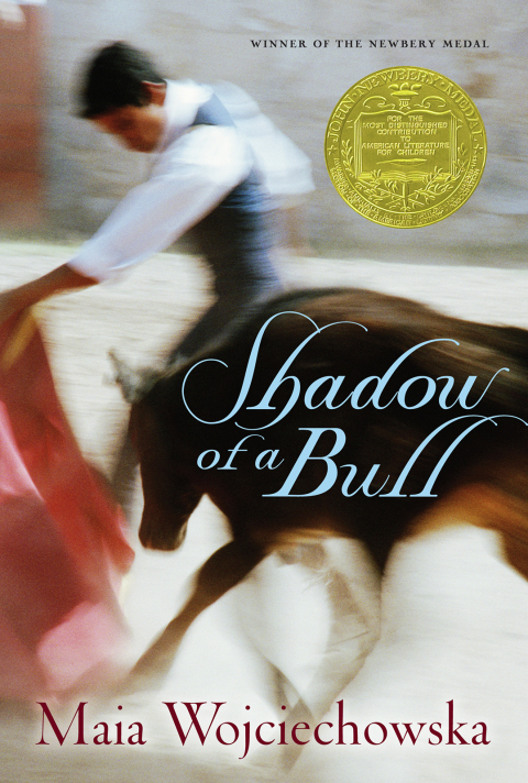 Cover image for book Shadow of a Bull
