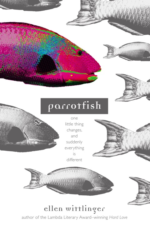 Cover image for book Parrotfish