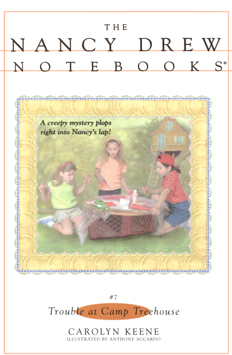 Cover image for book Trouble at Camp Treehouse