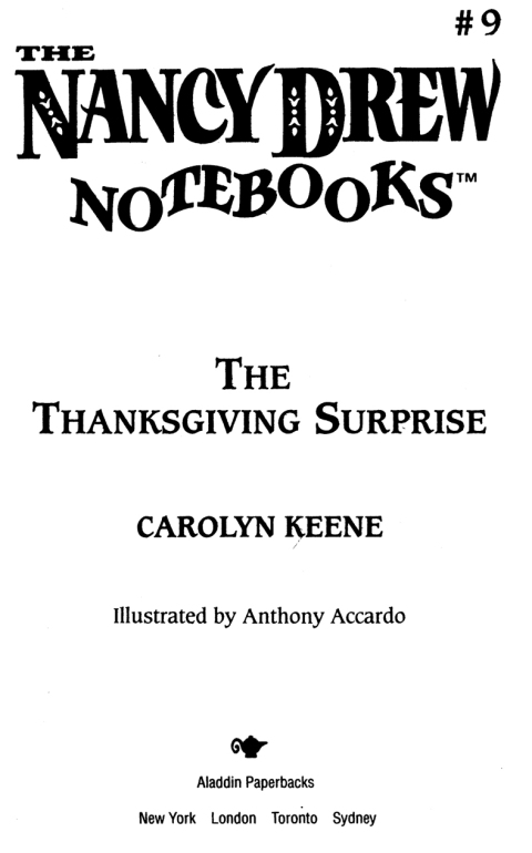 Cover image for book The Thanksgiving Surprise