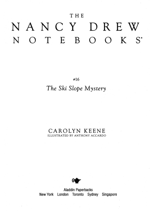 Cover image for book The Ski Slope Mystery