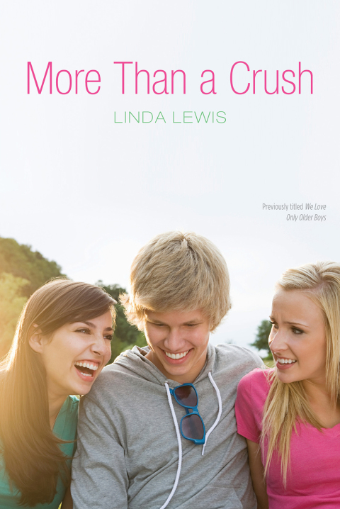 Cover image for book More Than a Crush