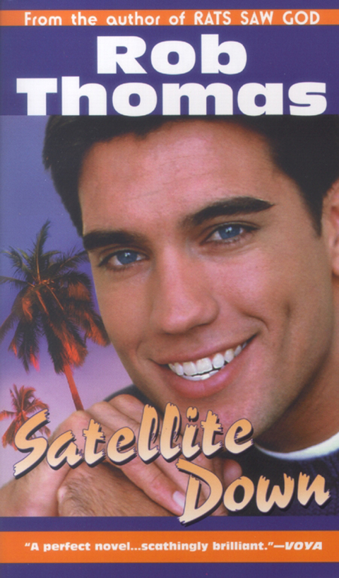 Cover image for book Satellite Down