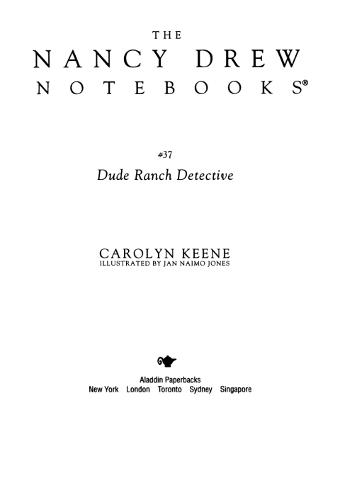 Cover image for book Dude Ranch Detective