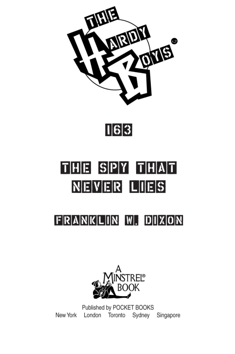 Cover image for book The Spy That Never Lies