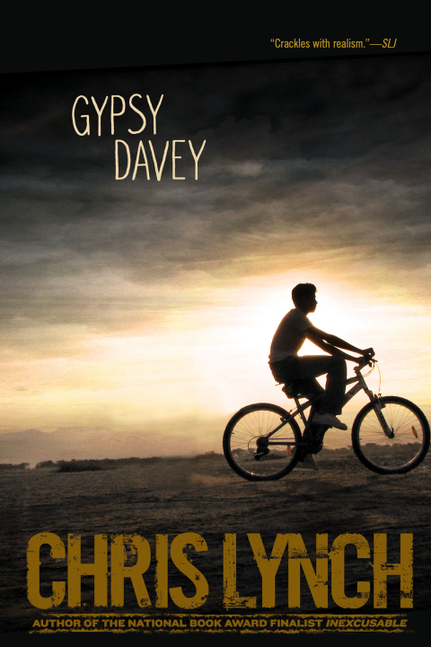 Cover image for book Gypsy Davey