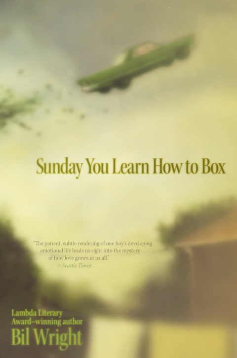 Cover image for book Sunday You Learn How to Box