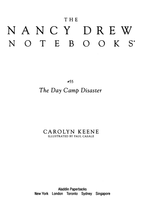 Cover image for book The Day Camp Disaster