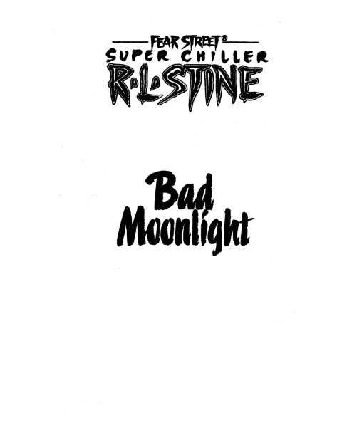 Cover image for book Bad Moonlight