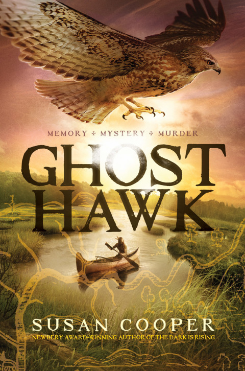 Cover image for book Ghost Hawk