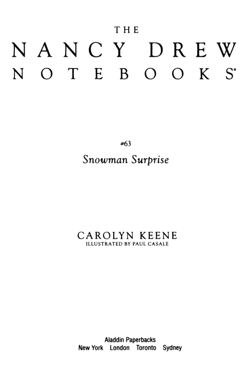 Cover image for book The Snowman Surprise