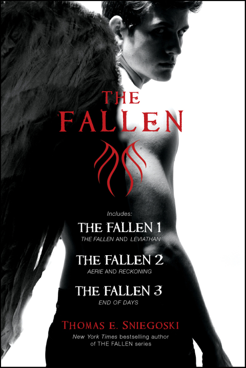 Cover image for book The Fallen