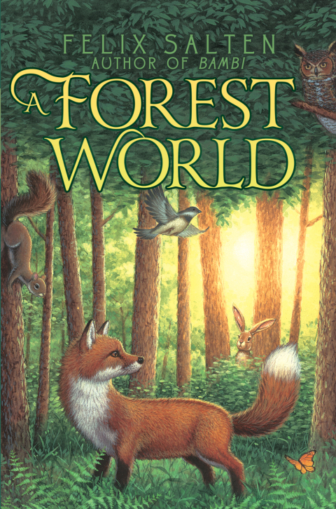 Cover image for book A Forest World