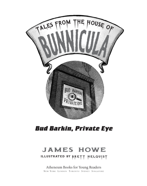 Cover image for book Bud Barkin, Private Eye