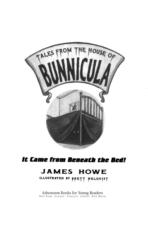 Cover image for book It Came from Beneath the Bed!