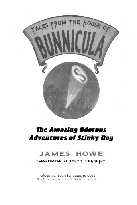 Cover image for book The Odorous Adventures of Stinky Dog