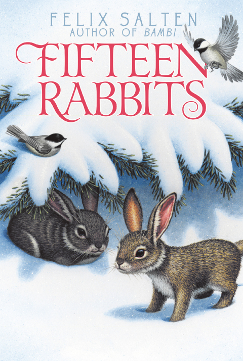 Cover image for book Fifteen Rabbits
