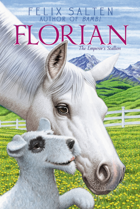 Cover image for book Florian
