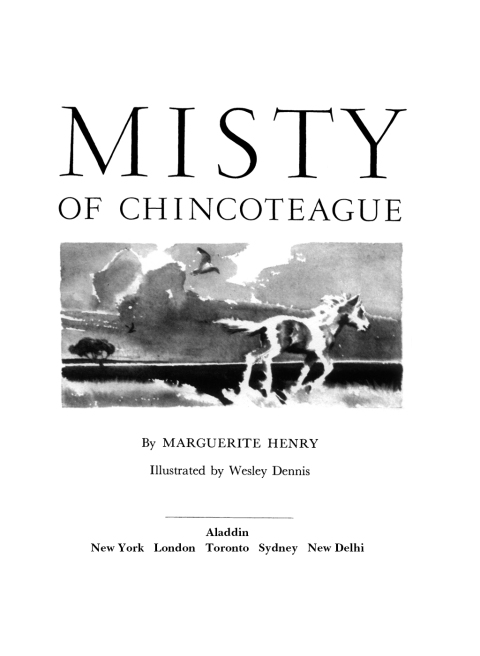 Cover image for book Misty of Chincoteague