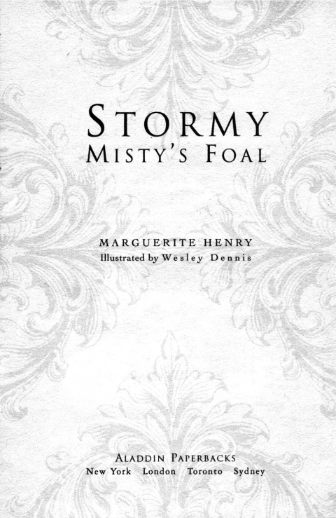 Cover image for book Stormy, Misty's Foal