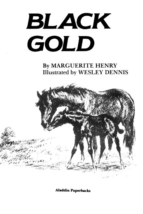 Cover image for book Black Gold